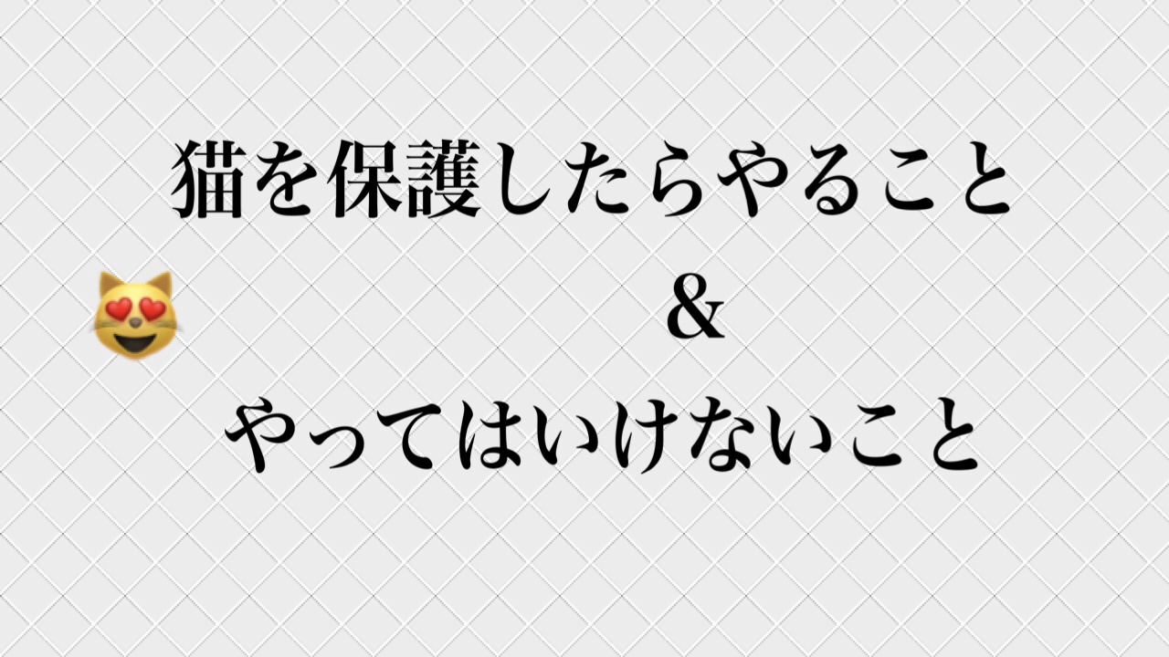 上司 年賀状 年賀状を職場の上司に出す際の書き方と例文 Ng例あり Amp Petmd Com